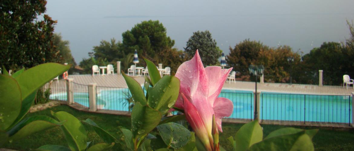 Camping La Cà — photo 4